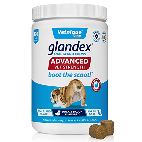 Glandex Advanced Strength Anal Gland Soft Chews con Mega Fibra para Perros, Enzimas Digestivas, Probióticos - Veterinario Recomendado para Arrancar el Scoot Vegan Duck & Bacon… (120ct)