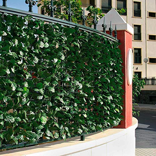 Catral 43020012 Seto Artificial Hedra, Verde, 300 x 3 x 100 cm